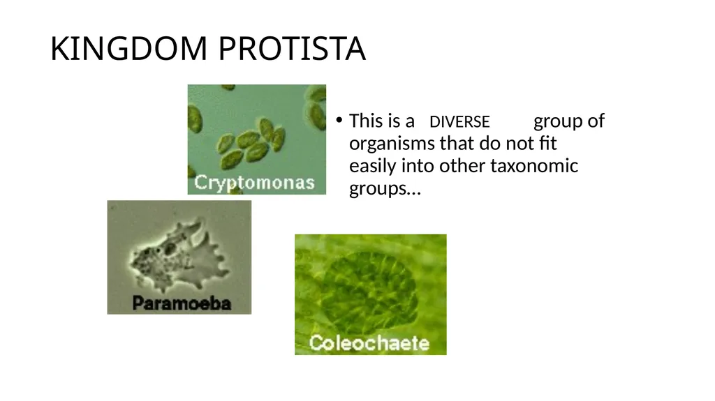 Unit 4 - Organizing Biodiversity Unit 5 - - slide 22 of 39