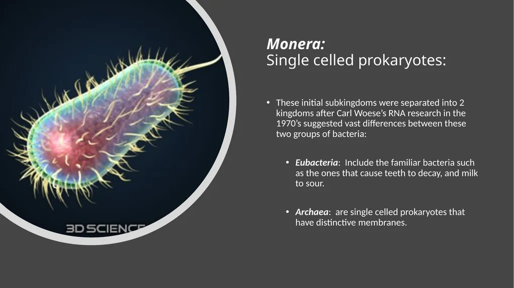 Unit 4 - Organizing Biodiversity Unit 5 - - slide 17 of 39