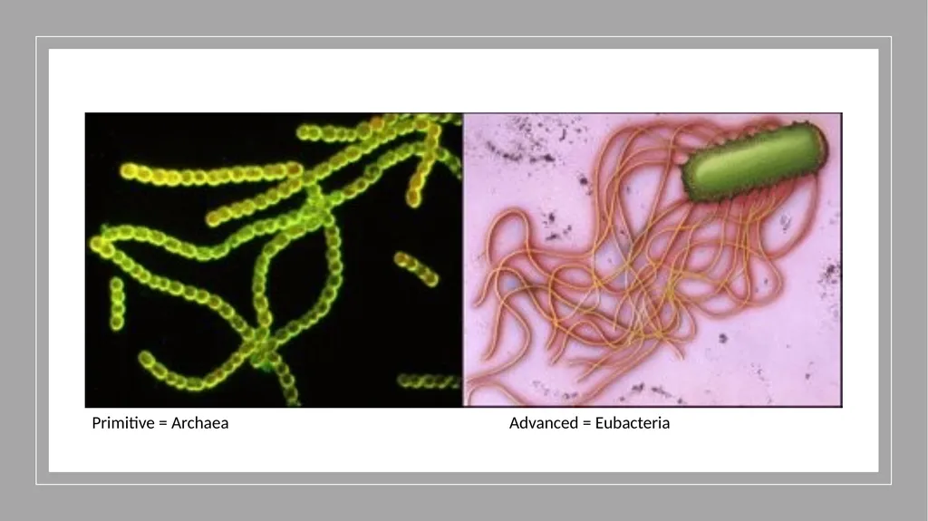 Unit 4 - Organizing Biodiversity Unit 5 - - slide 18 of 39