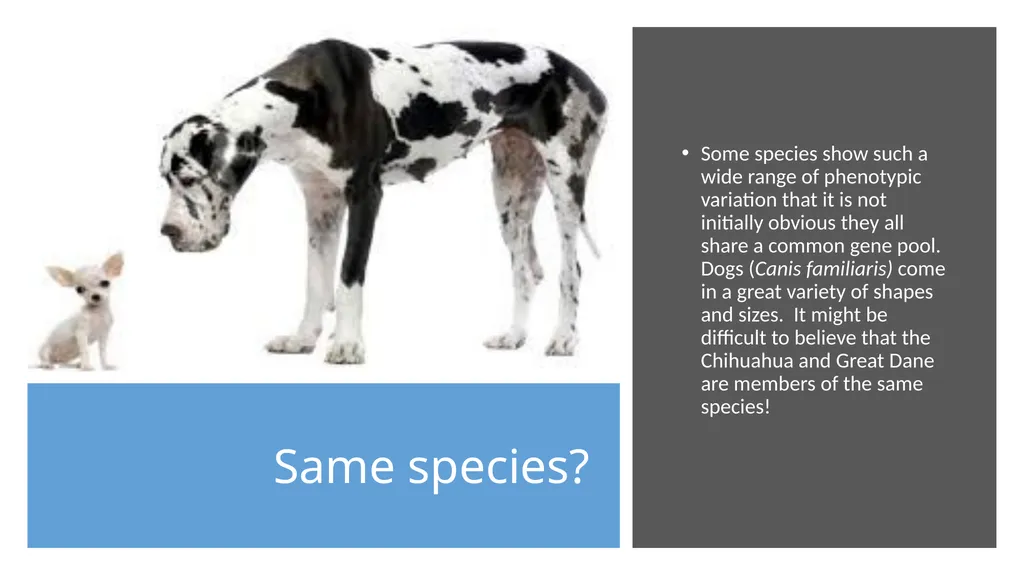 Unit 4 - Organizing Biodiversity Unit 5 - - slide 9 of 39