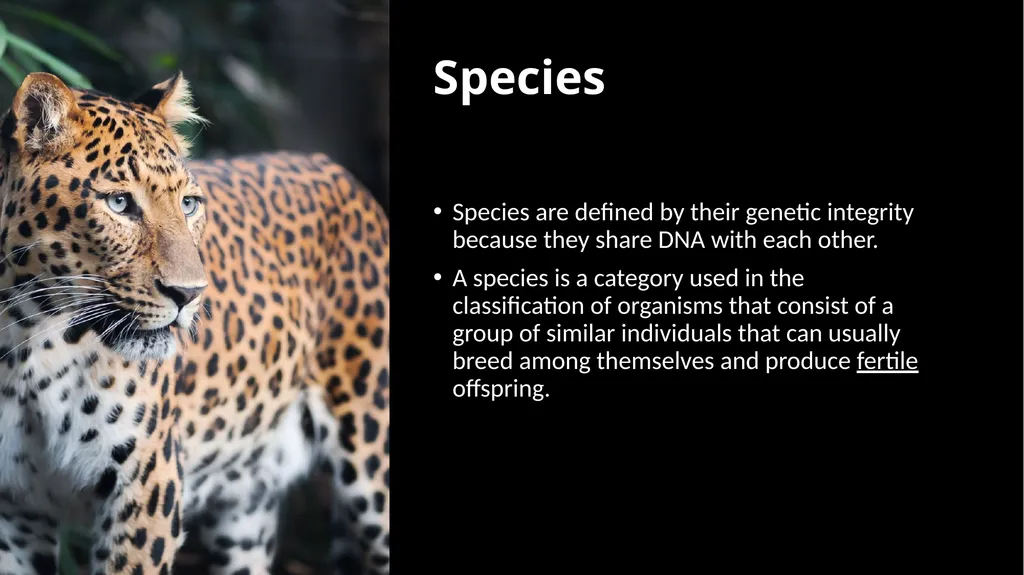 Unit 4 - Organizing Biodiversity Unit 5 - - slide 7 of 39