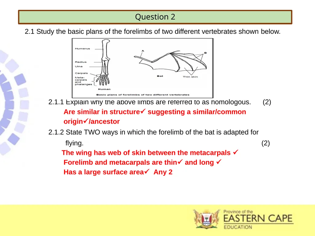 INTRODUCTION TO EVOLUTION, EVIDENCE OF EVOLUTION & - slide 22 of 24