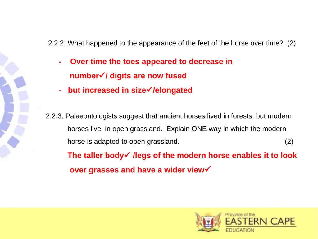 INTRODUCTION TO EVOLUTION, EVIDENCE OF EVOLUTION & - slide 24 of 24