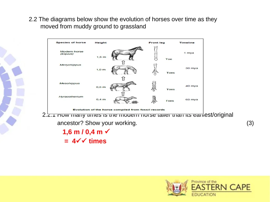 INTRODUCTION TO EVOLUTION, EVIDENCE OF EVOLUTION & - slide 23 of 24