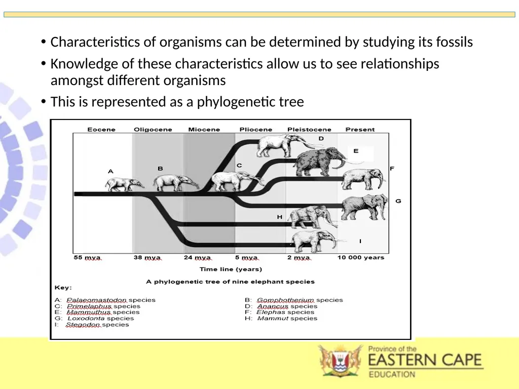 INTRODUCTION TO EVOLUTION, EVIDENCE OF EVOLUTION & - slide 10 of 24