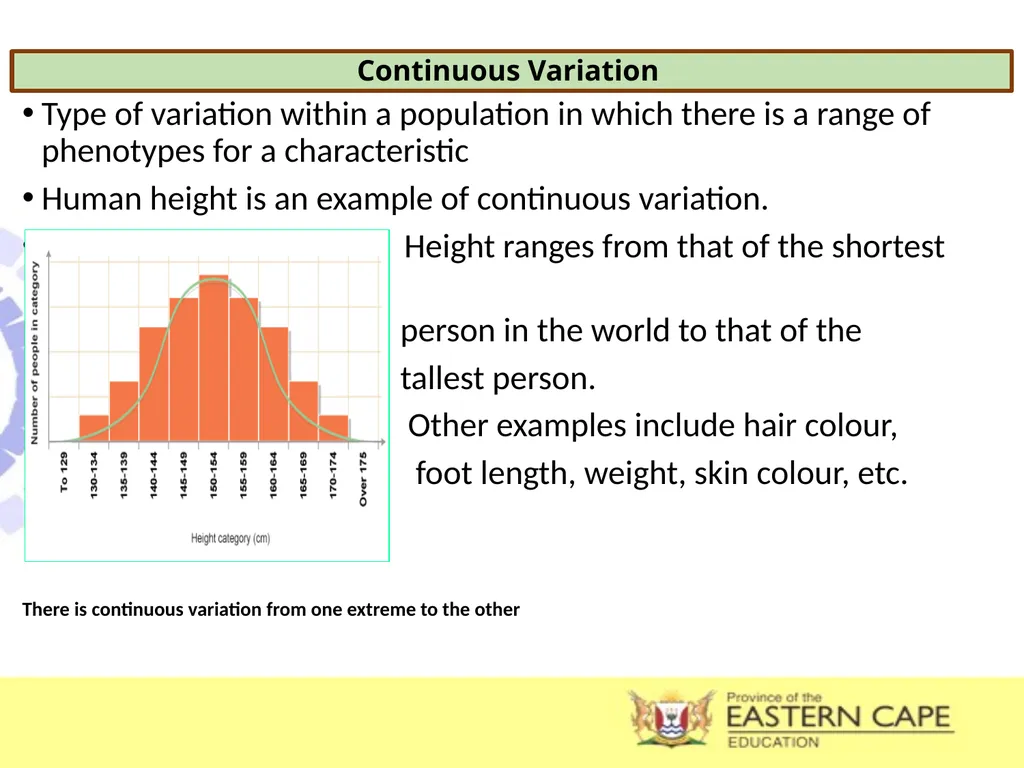 INTRODUCTION TO EVOLUTION, EVIDENCE OF EVOLUTION & - slide 17 of 24