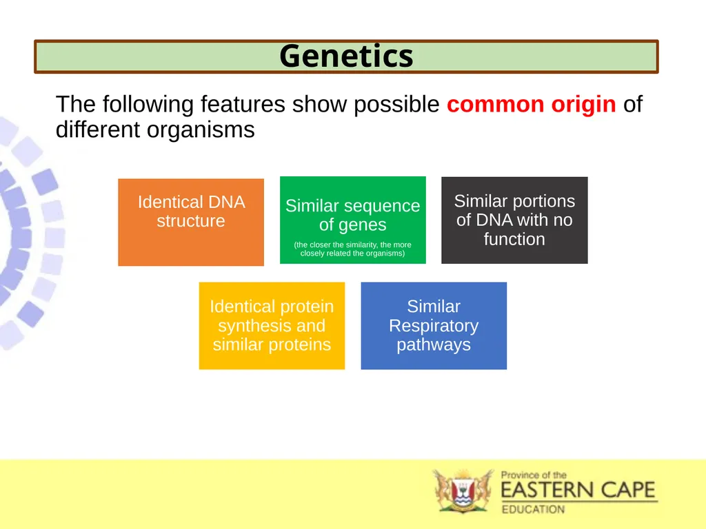 INTRODUCTION TO EVOLUTION, EVIDENCE OF EVOLUTION & - slide 13 of 24