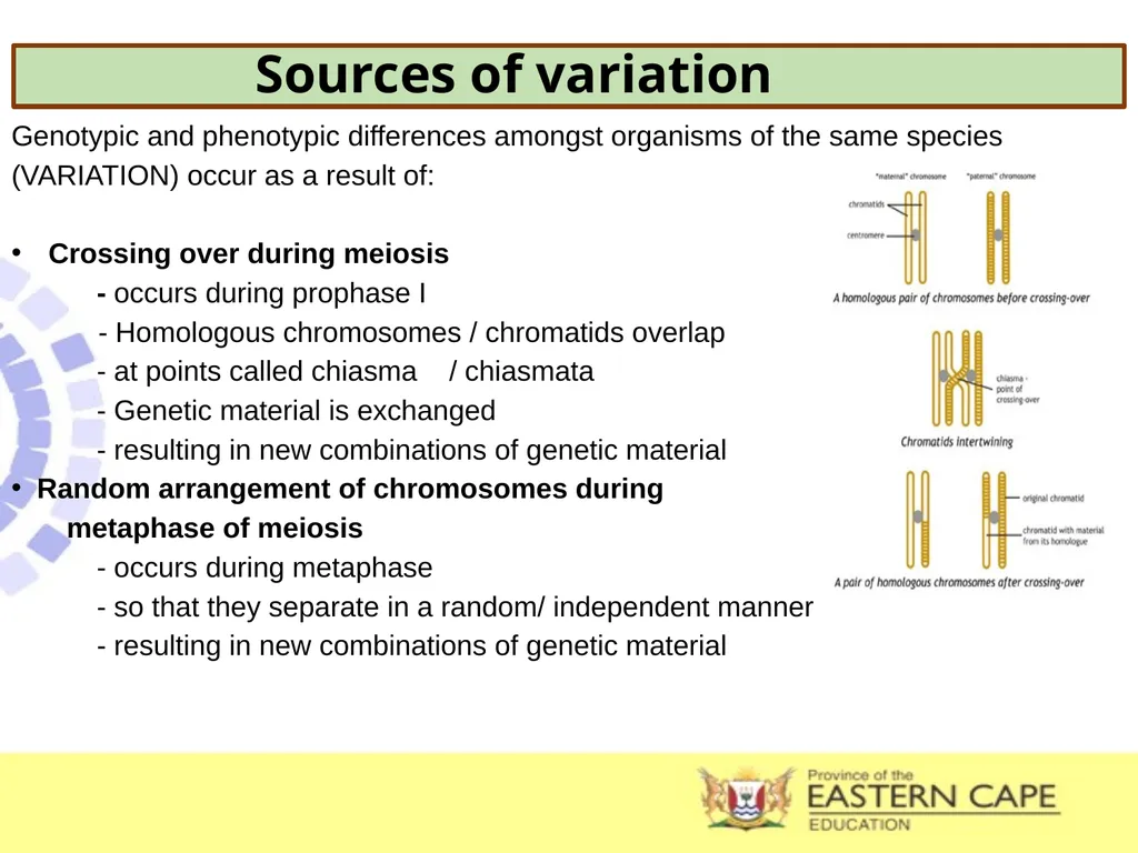 INTRODUCTION TO EVOLUTION, EVIDENCE OF EVOLUTION & - slide 15 of 24