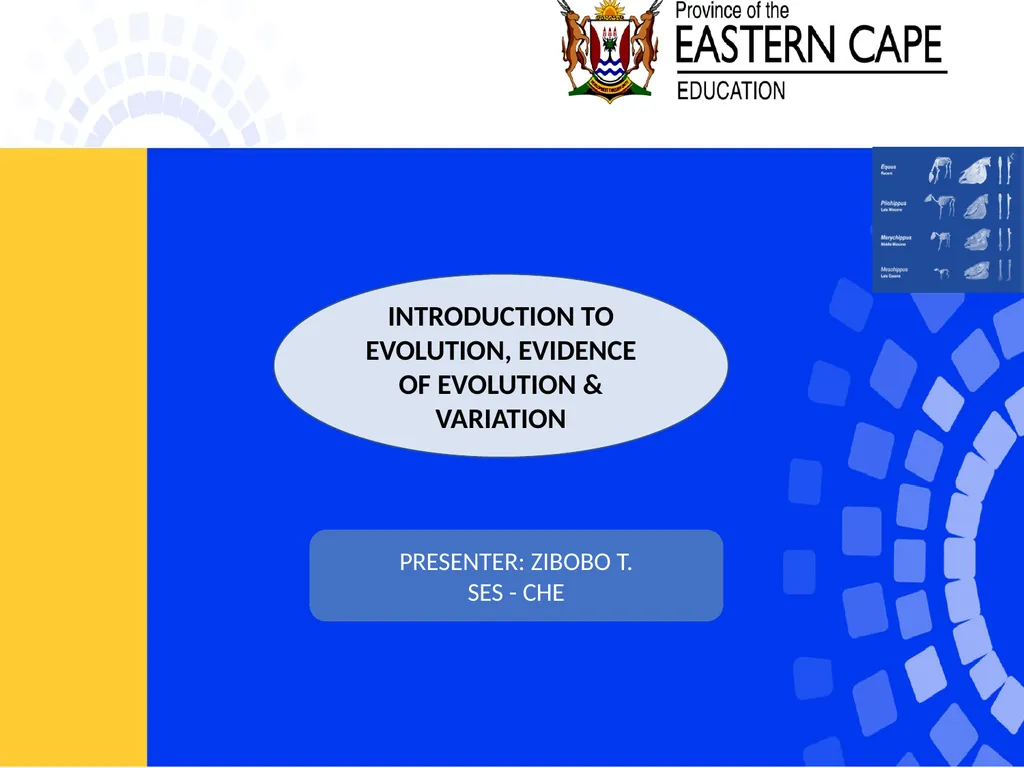 INTRODUCTION TO EVOLUTION, EVIDENCE OF EVOLUTION & - slide 1 of 24