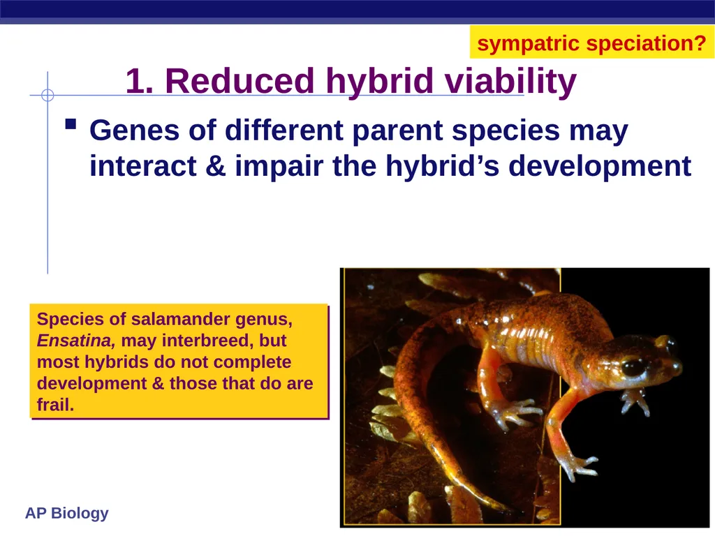 Speciation How do new species originate? - slide 13 of 15