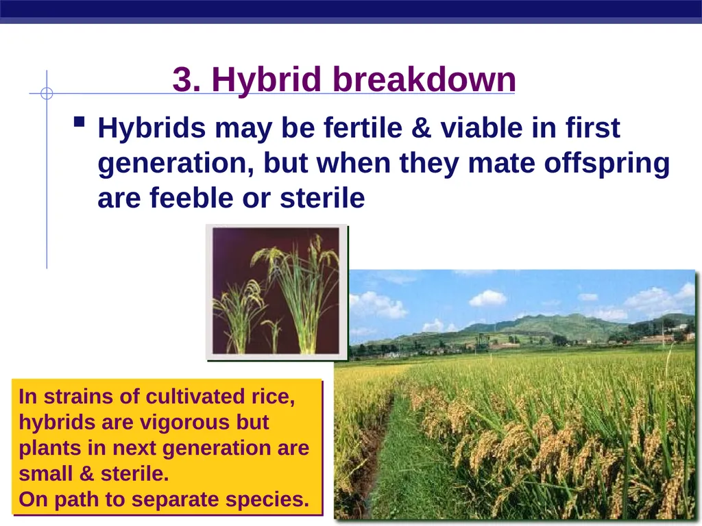 Speciation How do new species originate? - slide 15 of 15