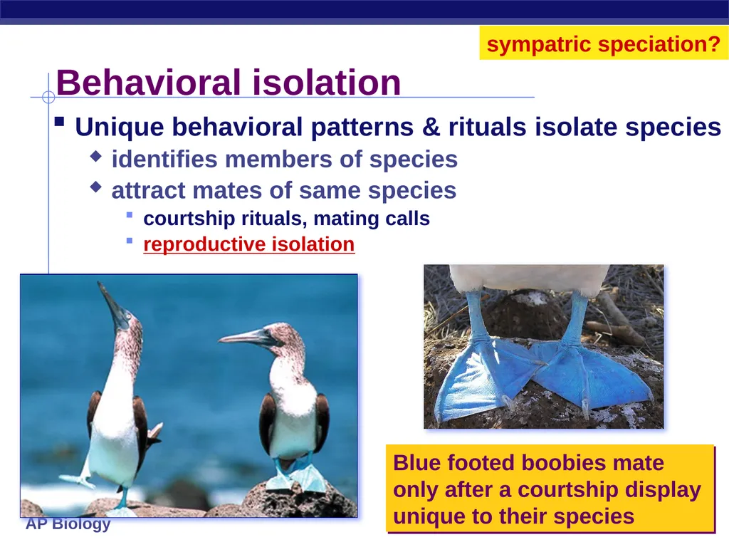 Speciation How do new species originate? - slide 8 of 15