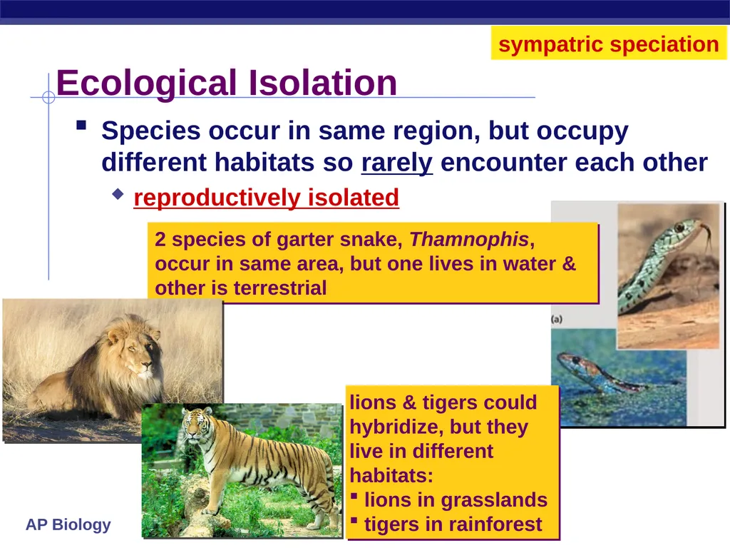 Speciation How do new species originate? - slide 6 of 15