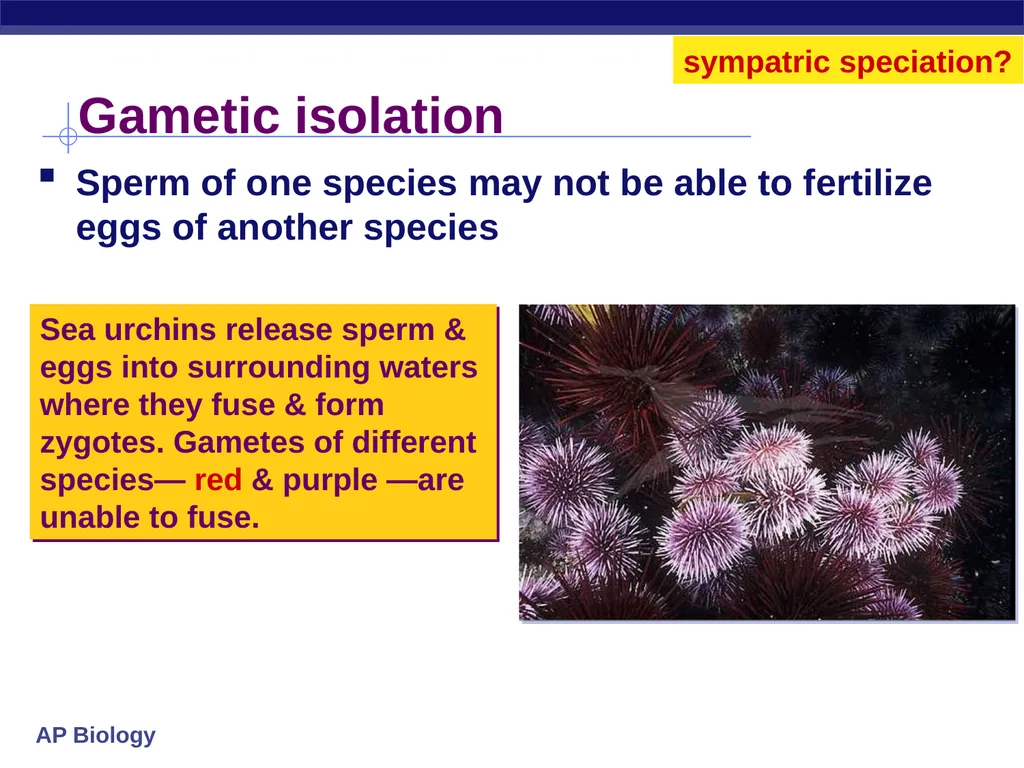Speciation How do new species originate? - slide 11 of 15