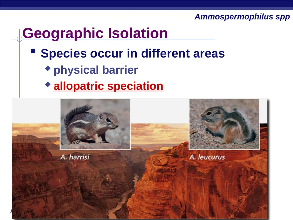 Speciation How do new species originate? - slide 5 of 15