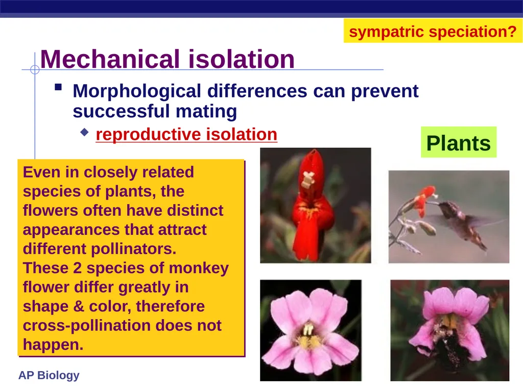 Speciation How do new species originate? - slide 9 of 15
