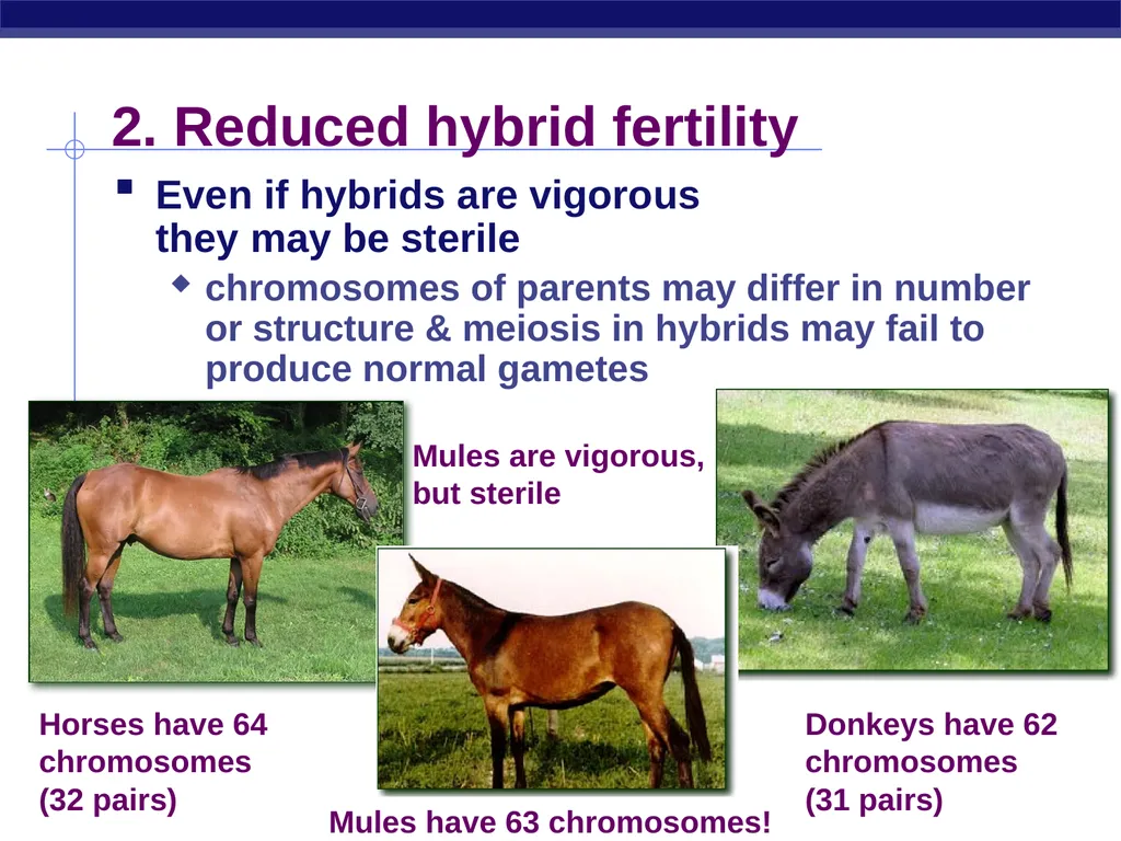 Speciation How do new species originate? - slide 14 of 15