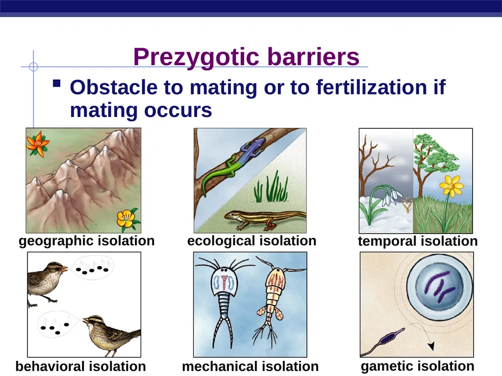 Speciation How do new species originate? - slide 4 of 15