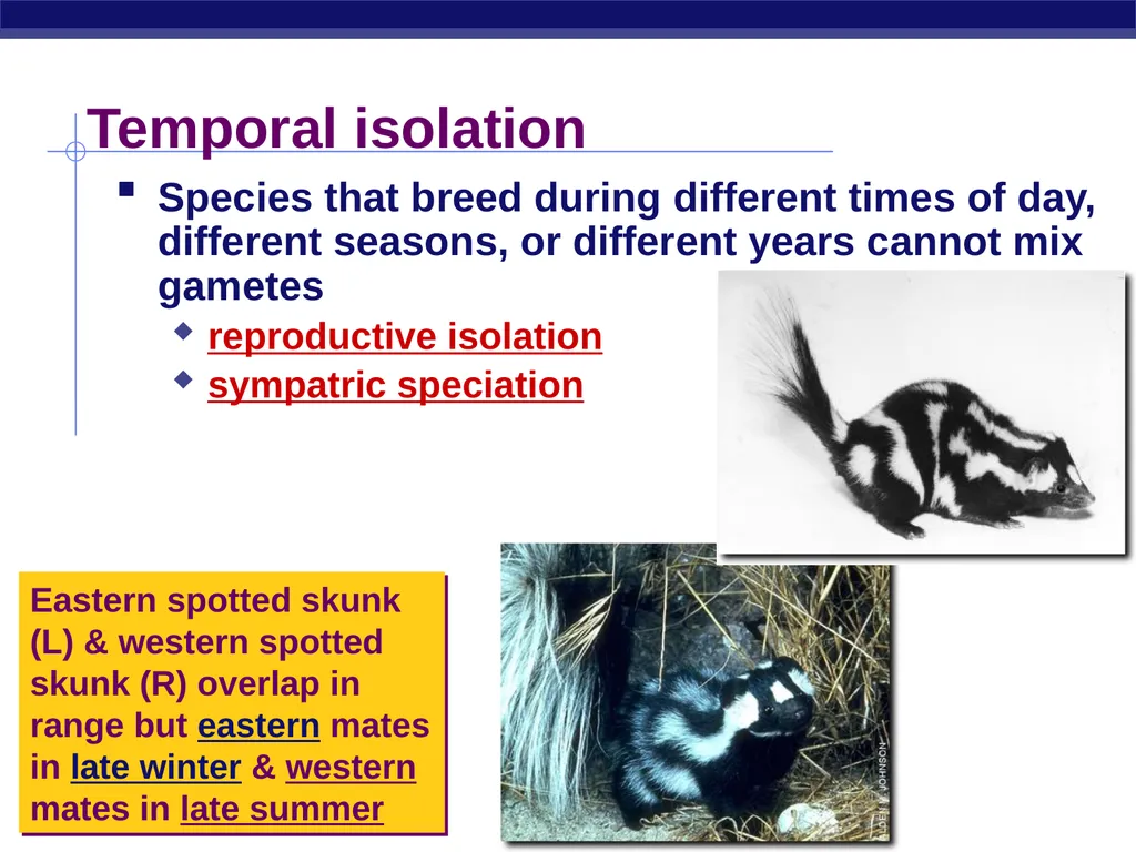 Speciation How do new species originate? - slide 7 of 15