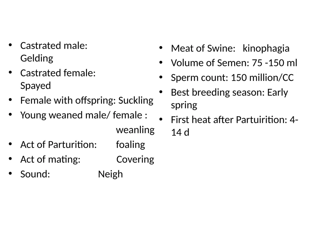 General information of Horse and its Management - slide 4 of 15