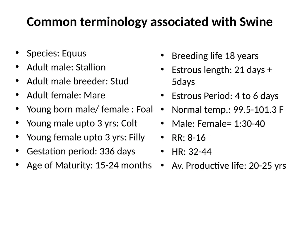 General information of Horse and its Management - slide 3 of 15