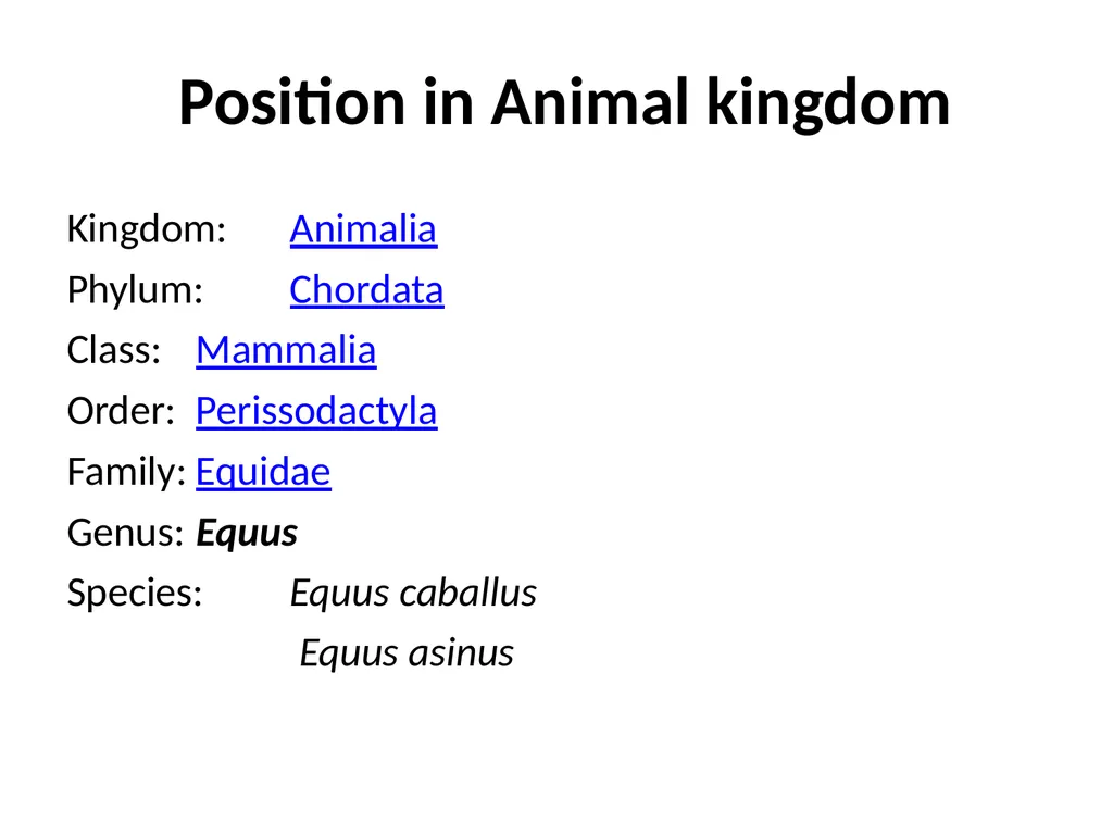 General information of Horse and its Management - slide 2 of 15