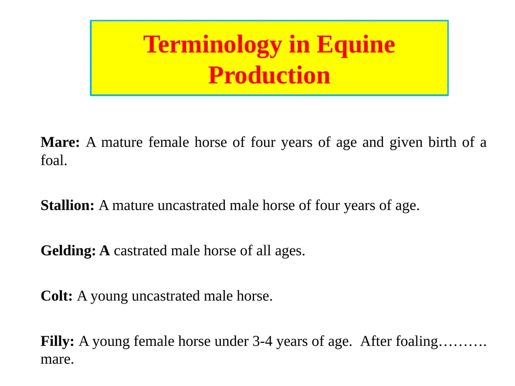 General information of Horse and its Management - slide 6 of 15