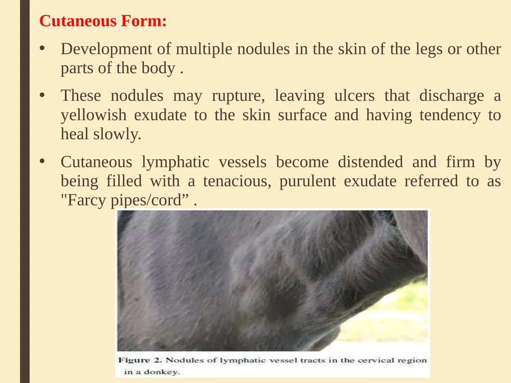 GLANDERS Anil Kumar Asst. Professor Dept. of VCC - slide 7 of 11