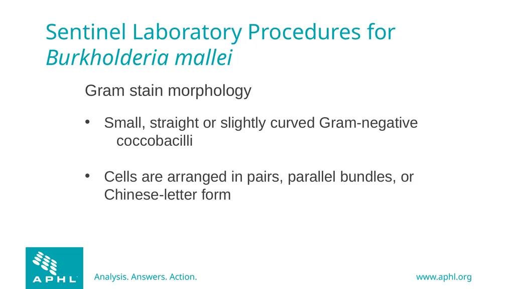 Agents of Bioterrorism Burkholderia species - slide 11 of 30