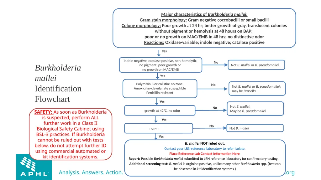 Agents of Bioterrorism Burkholderia species - slide 28 of 30