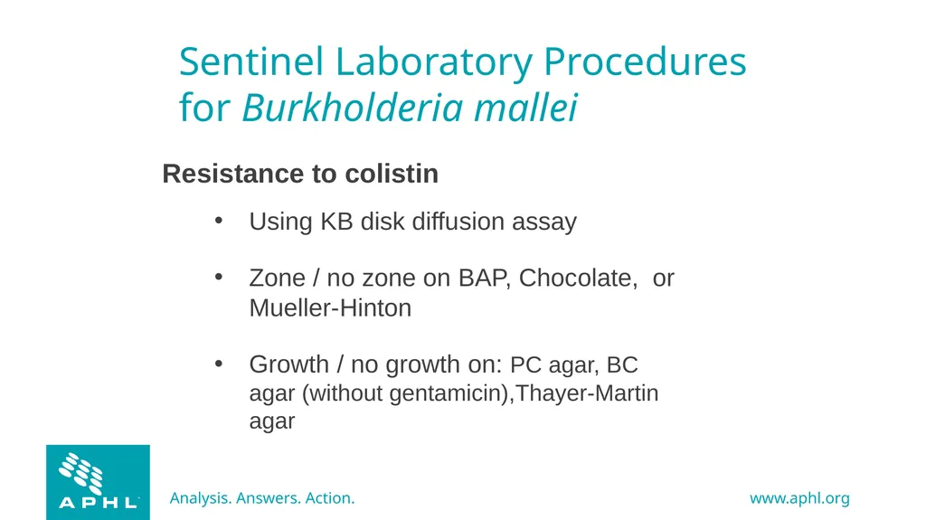 Agents of Bioterrorism Burkholderia species - slide 21 of 30