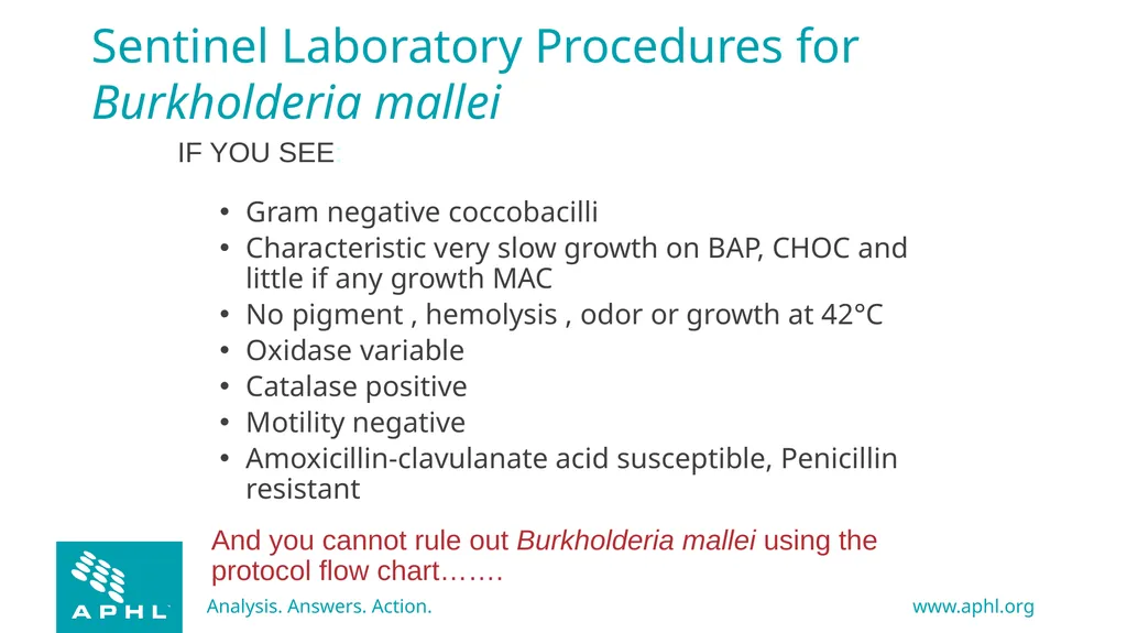 Agents of Bioterrorism Burkholderia species - slide 29 of 30