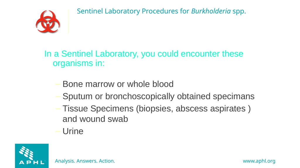 Agents of Bioterrorism Burkholderia species - slide 8 of 30