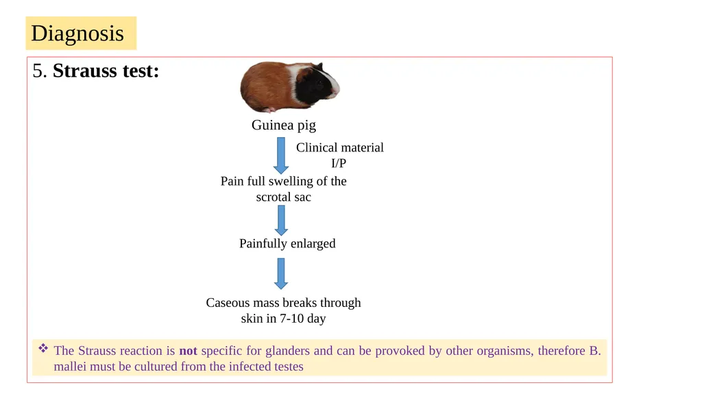 ‘Veterinary Epidemiology & Zoonoses’ VPH-321 - slide 14 of 19