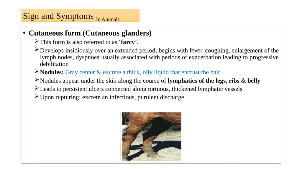 ‘Veterinary Epidemiology & Zoonoses’ VPH-321 - slide 11 of 19