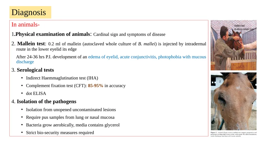 ‘Veterinary Epidemiology & Zoonoses’ VPH-321 - slide 13 of 19