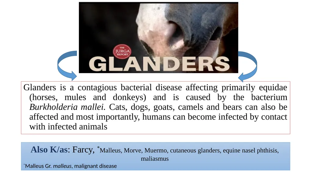 ‘Veterinary Epidemiology & Zoonoses’ VPH-321 - slide 2 of 19