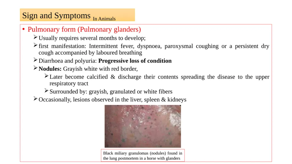 ‘Veterinary Epidemiology & Zoonoses’ VPH-321 - slide 10 of 19