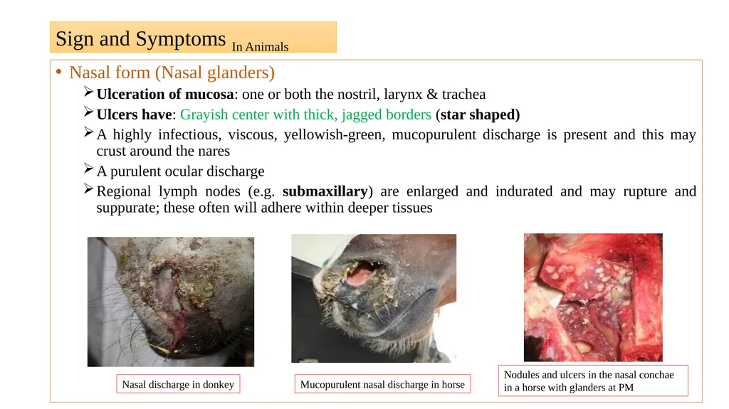 ‘Veterinary Epidemiology & Zoonoses’ VPH-321 - slide 9 of 19