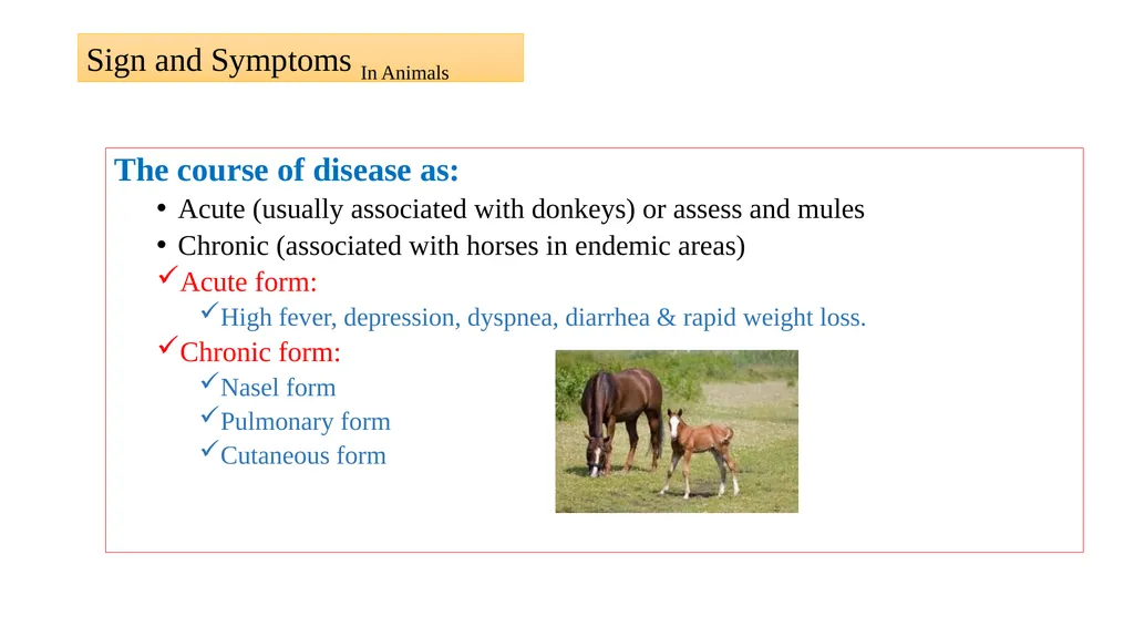 ‘Veterinary Epidemiology & Zoonoses’ VPH-321 - slide 8 of 19