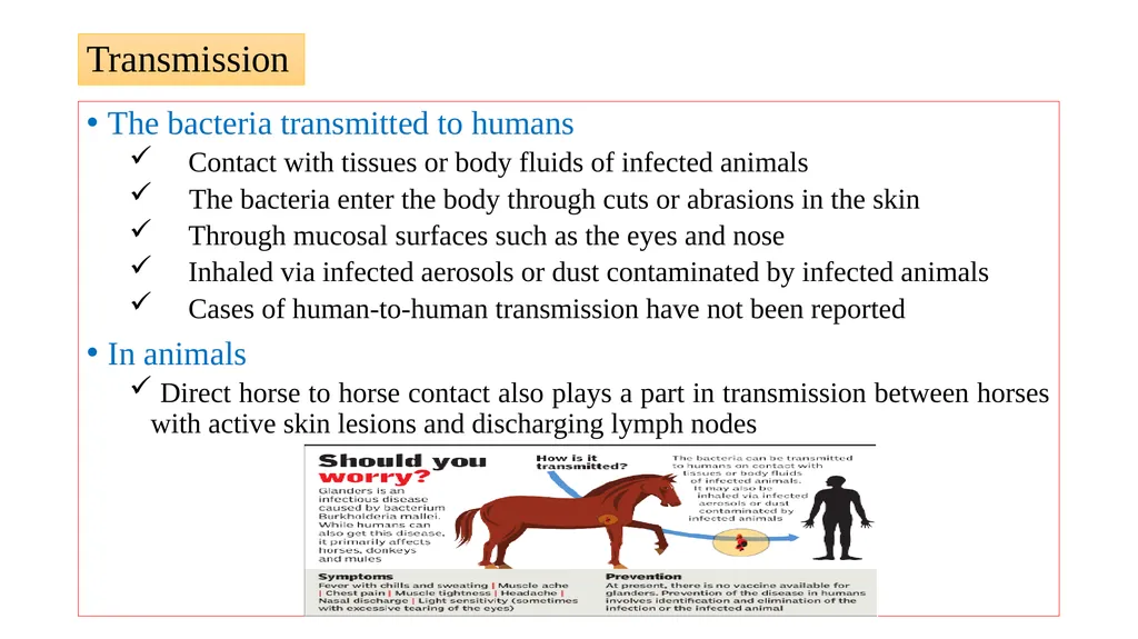 ‘Veterinary Epidemiology & Zoonoses’ VPH-321 - slide 7 of 19