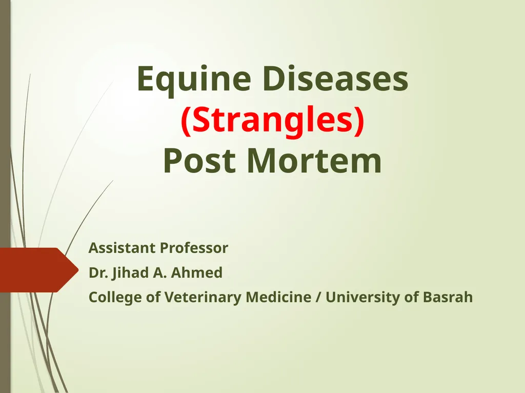 Equine Diseases (Strangles) Post Mortem Assistant - slide 1 of 8