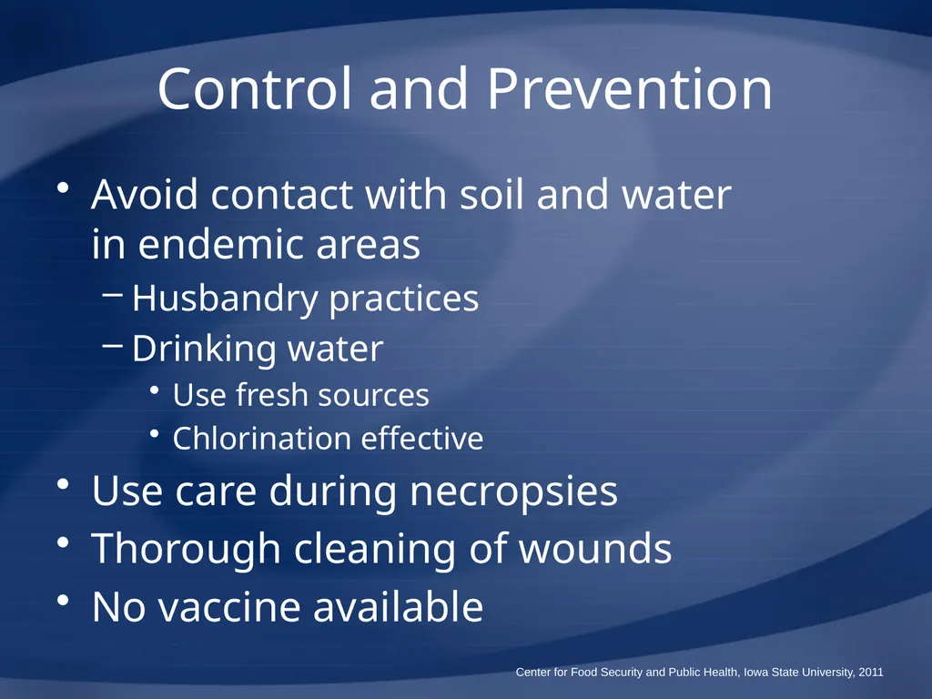Melioidosis Pseudoglanders Whitmore Disease - slide 27 of 31
