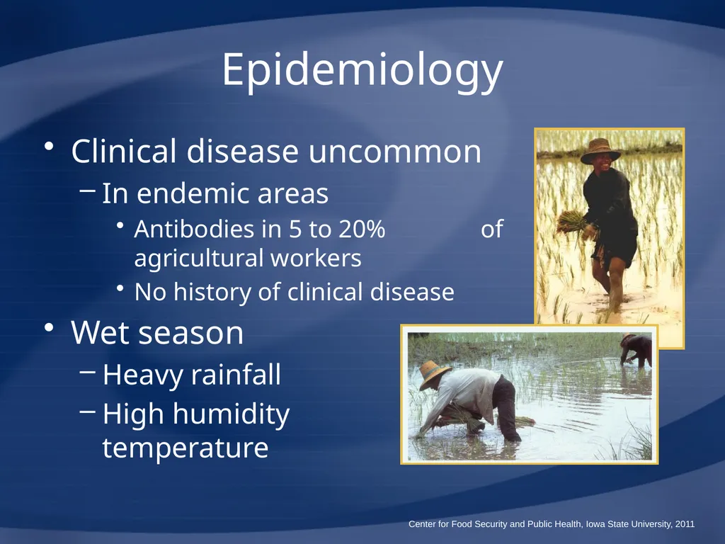 Melioidosis Pseudoglanders Whitmore Disease - slide 15 of 31