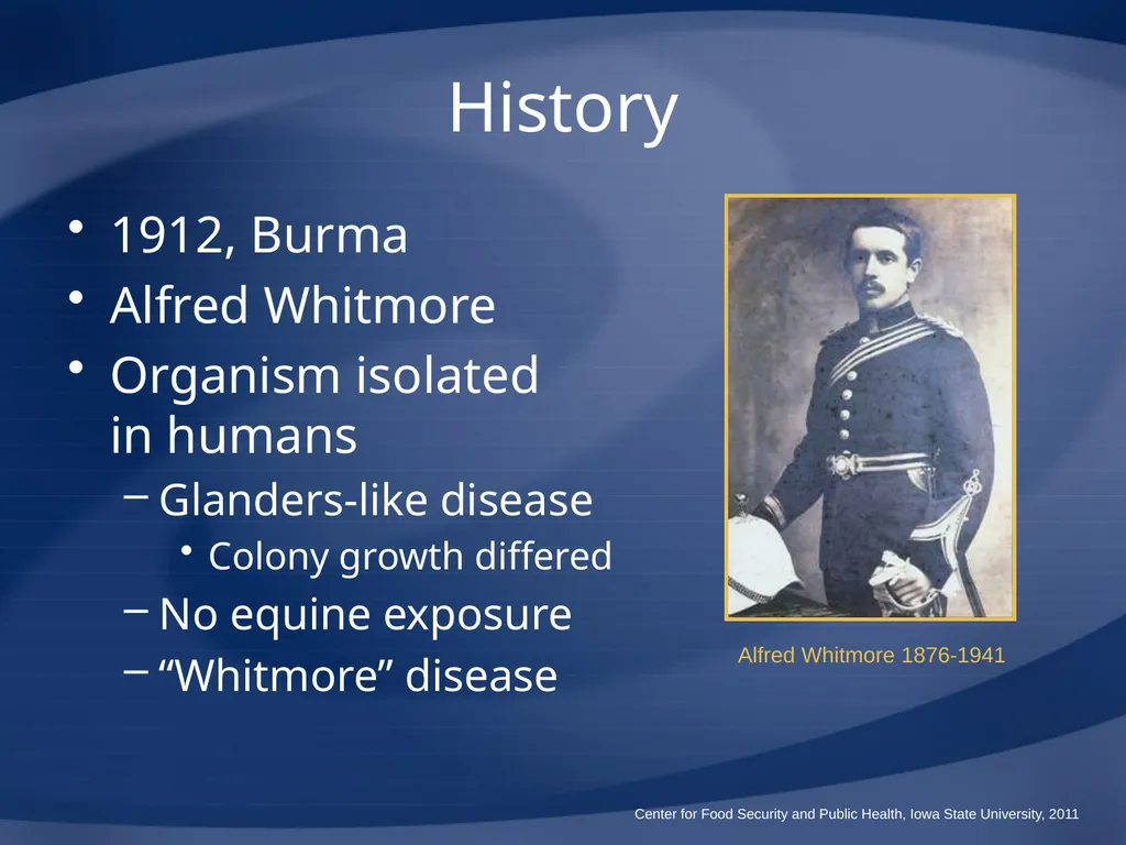 Melioidosis Pseudoglanders Whitmore Disease - slide 6 of 31