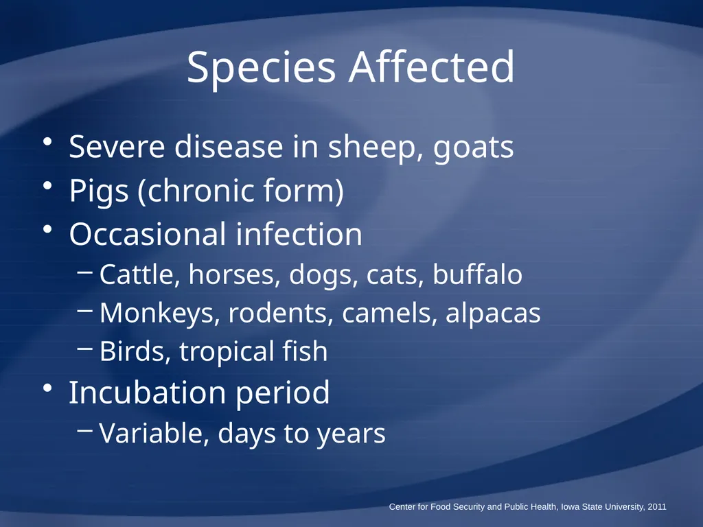 Melioidosis Pseudoglanders Whitmore Disease - slide 23 of 31