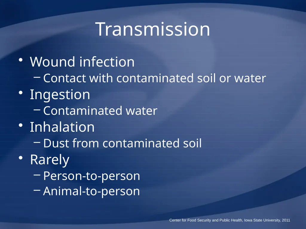 Melioidosis Pseudoglanders Whitmore Disease - slide 11 of 31