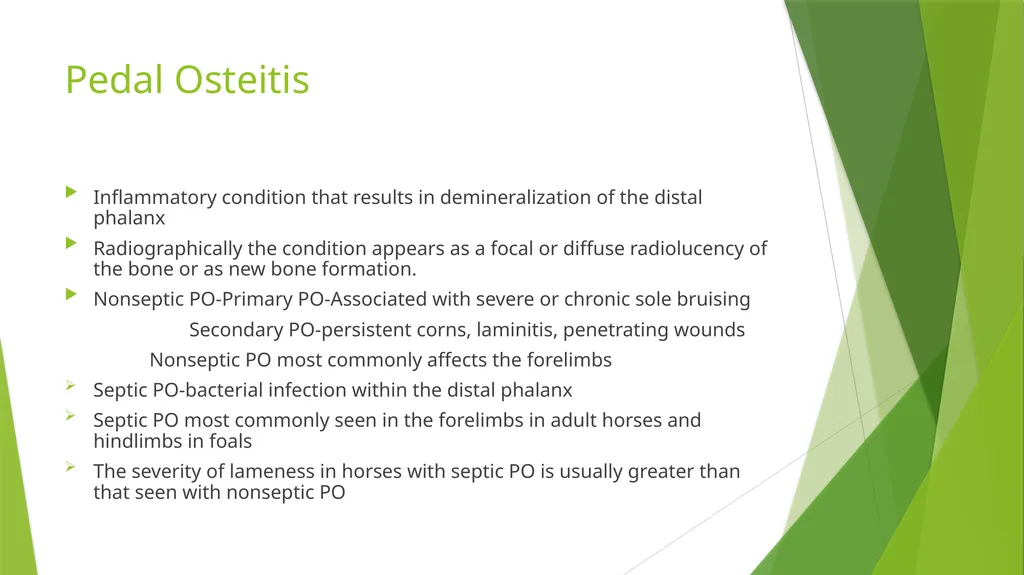 LAMENESS PART -VII Fourth Professional(OLD) Unit-6 - slide 5 of 6