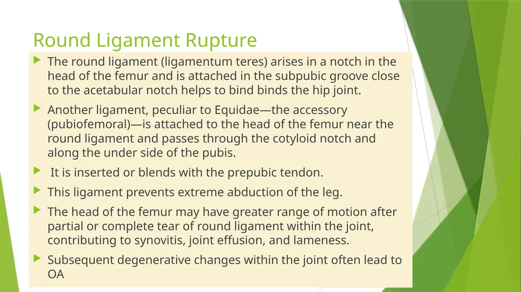 LAMENESS PART -VII Fourth Professional(OLD) Unit-6 - slide 3 of 6
