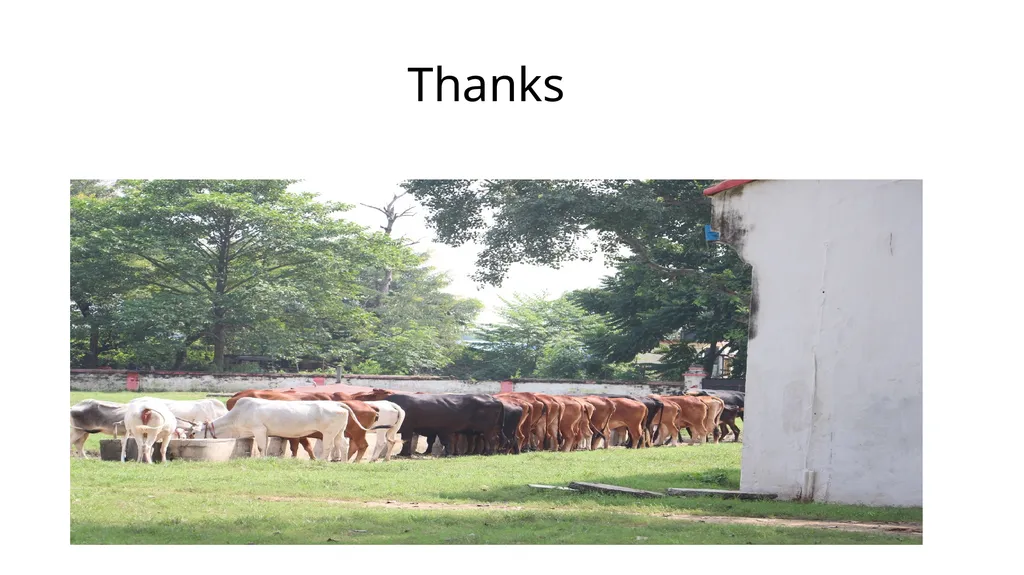 BIHAR ANIMAL SCIENCES UNIVERSITY BIHAR VETERINARY - slide 12 of 12